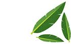 融途网(www.erongtu.com)