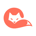 茶杯狐Cupfox