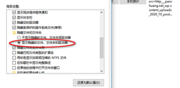 点击查看原图 隐藏文件怎么恢复