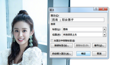 点击查看原图 在Word文档中怎么给图片添加注解