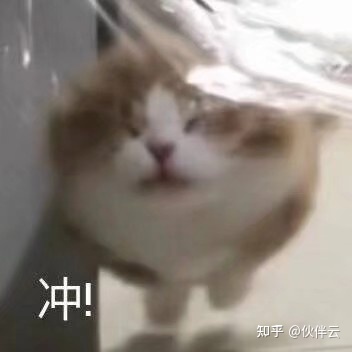 哪些网站让你感觉发现了新大陆？