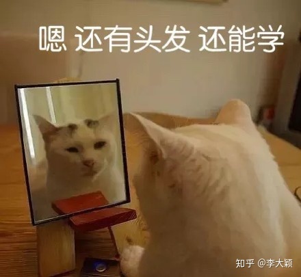 有哪些高质量的自学网站？