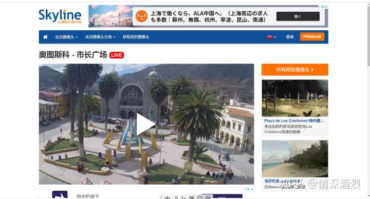 你都见过什么奇奇怪怪的网站？
