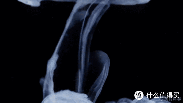 分享10个高质量的免费学习网站，第一个超强却很少有人推荐！_软件应用_好用的网站资源分享