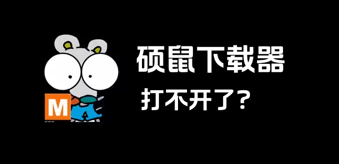 类似硕鼠的解析软件或网站分享