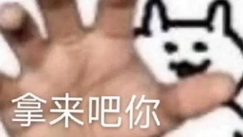 超300W?比小米还小,今年最炸的直屏来了
