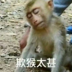 成为销量第一后,这国产手机终于要彻底变了