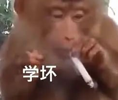 超300W?比小米还小,今年最炸的直屏来了