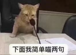 为了体验真正的鸿蒙全场景,我们看了一天爱奇艺综艺
