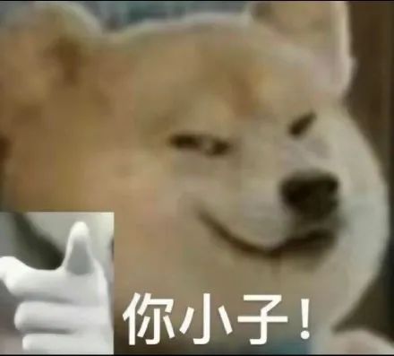 吊打友商?!刚发布的iPhone 16,给我看麻了