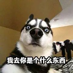 又一个捅破天的国产手机来了,这次比华为还过分