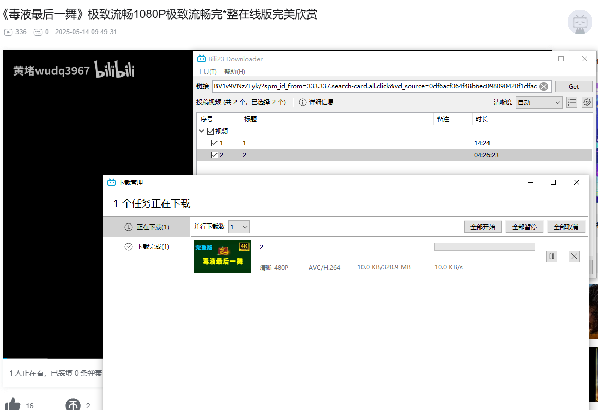 [Windows] Bili23 Downloader 哔哩哔哩视频下载 v1.62.0 中文绿色版