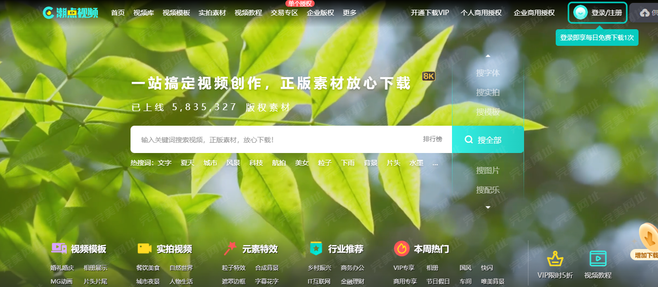 12个免费无版权视频素材网站，视频剪辑一定要知道！（2025 年最新资源合集）